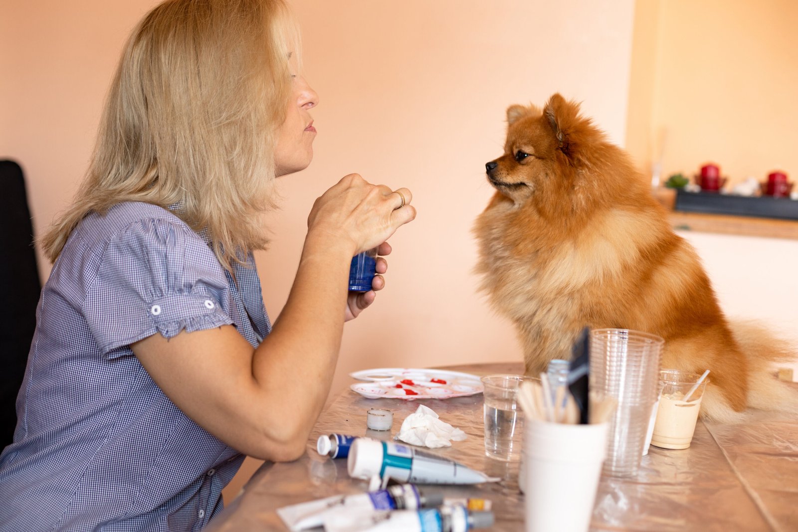 Cuidados imprescindíveis para pets em casa: top cinco